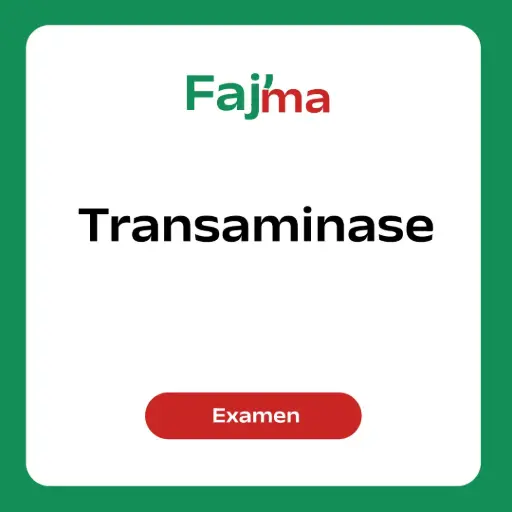 Transaminase